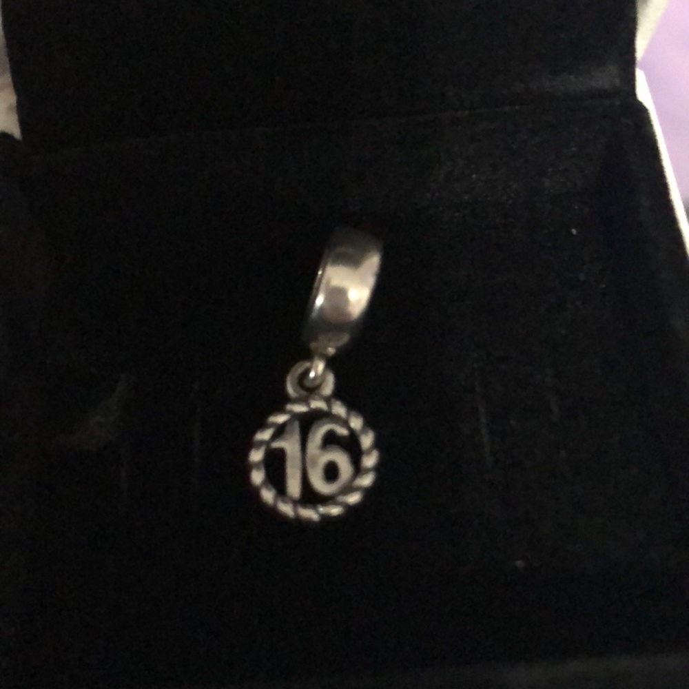 Pandora 16 charm